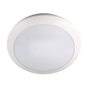 ENSA 16W LED Intelligent Oyster Light (5000K) LOL-A16-CS2